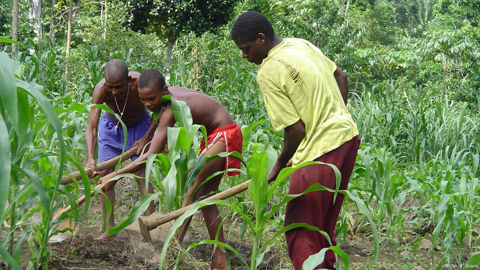 Governo são tomense redistribui terras para combater pobreza DW 22