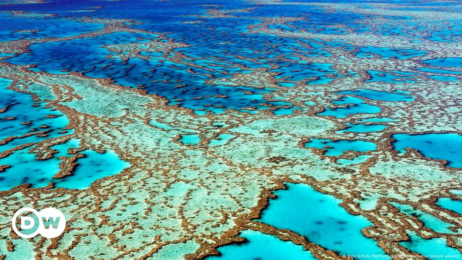 China Denies Influencing UNESCO Move On Great Barrier Reef DW 07 18