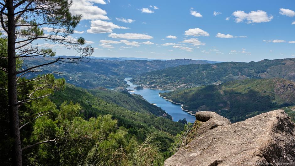 The case for passive rewilding: 'If you love it, let it free' | DW | 11.10.2021 1 The case for passive rewilding: 'If you love it, let it free' | DW | 11.10.2021