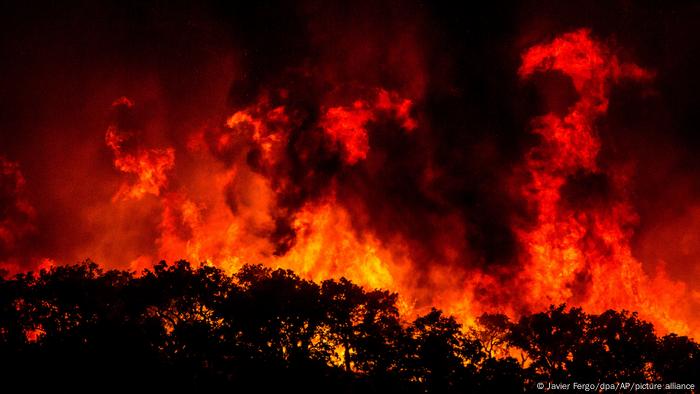 A wildfire in Portugal A wildfire in Portugal