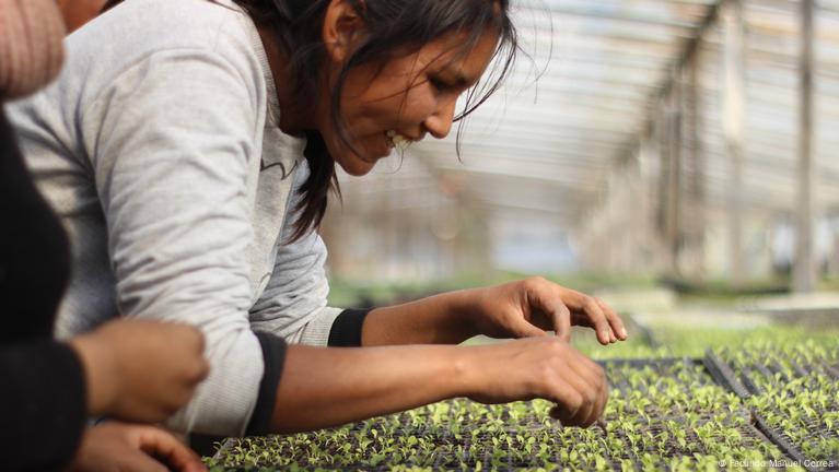 Es Posible Otro Sistema Alimentario En Am Rica Latina Dw