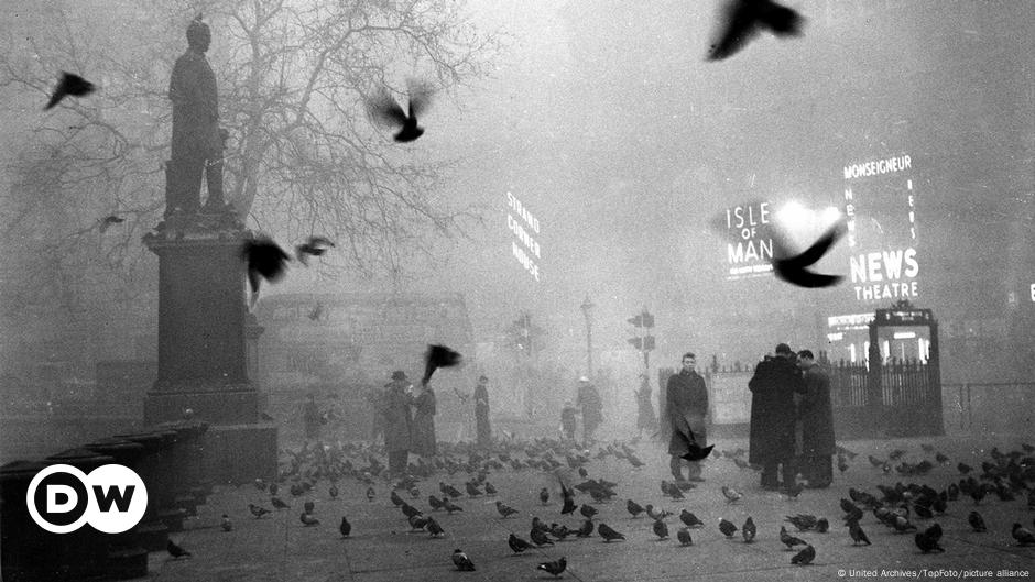 1952 el año en que una niebla tóxica sepultó Londres DW 06 12 2022