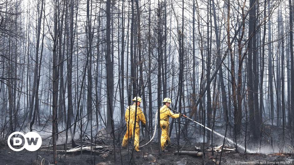 El Humo T Xico Se Disipa En El Noreste De Estados Unidos Dw