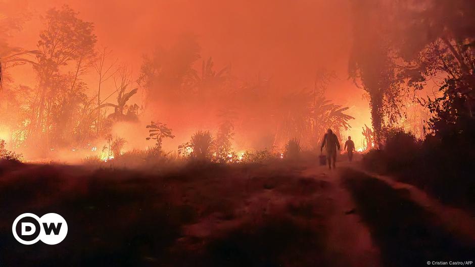 Francia Ayuda A Bolivia A Combatir Incendios Forestales Dw