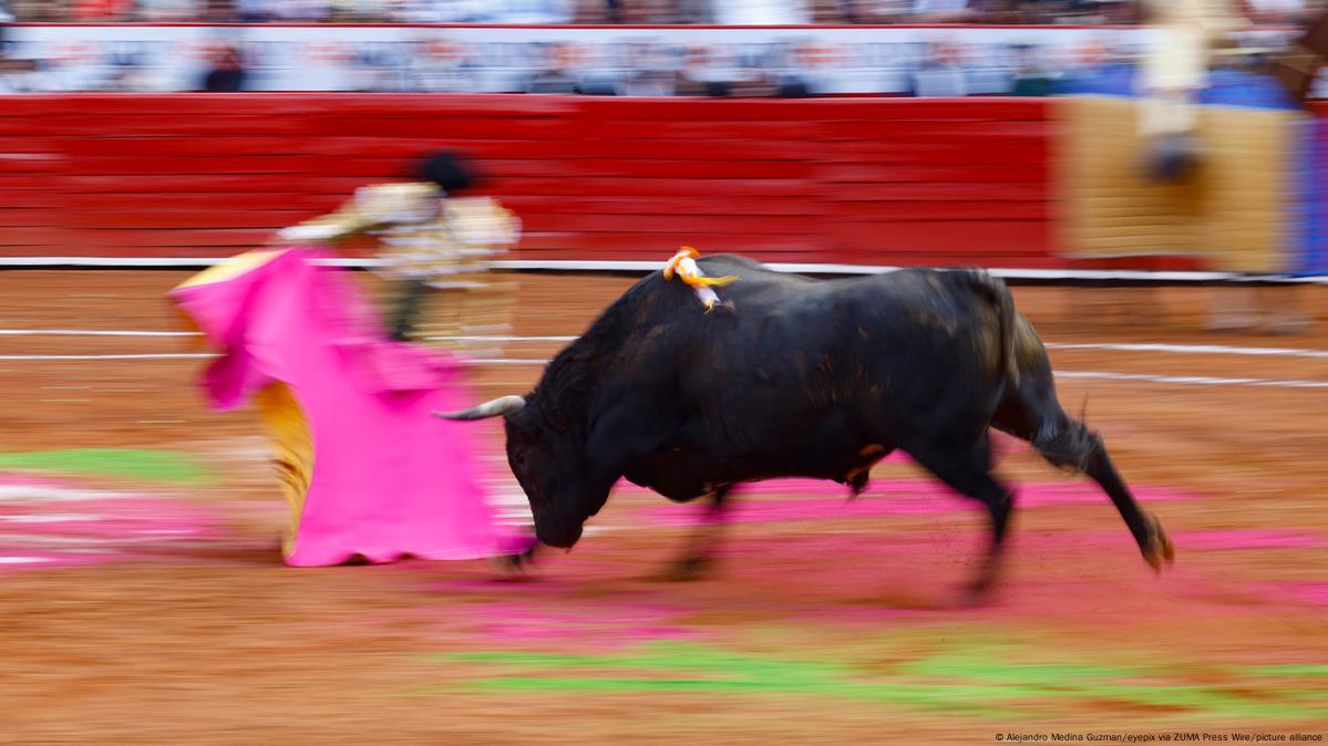 Jueza Federal Vuelve A Suspender Corridas De Toros En Cdmx Dw