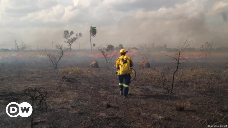 Bolivia Incendios Forestales Devastadores Dw