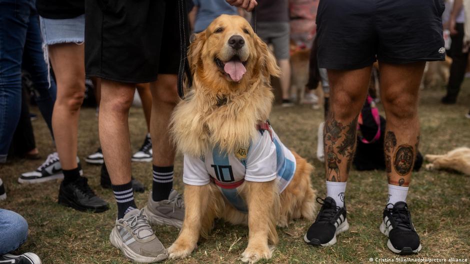 Argentina's 'good old boys' break world record - DW thumbnail