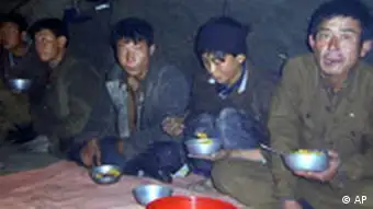 Nordkoreanische Arbeiter