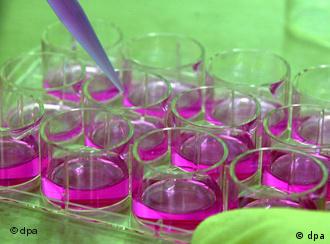 Stammzellforschung: eine Zukunftstechnologie?
