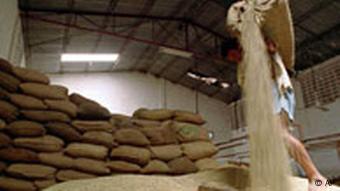 Kaffee in San Salvador