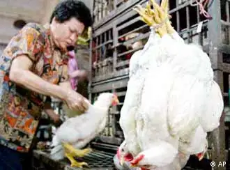 马来西亚的家禽市场