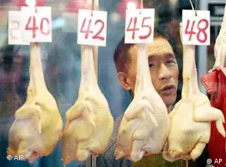 香港加强了对市场禽类产品的检验