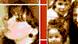 Landscape Banner Peter Ustinov Landscape Banner Peter Ustinov