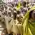 BM uzmanları, Sudan'da kitlesel ölüm tehlikesine dikkat çekiyorlar...