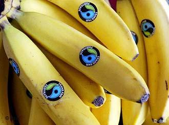 For our export business, we have transitioned from conventional to organic  bananas”