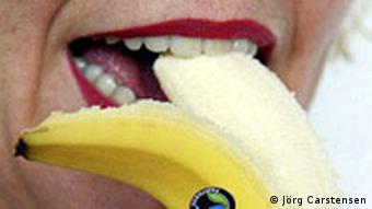 Bio-Bananen aus fairem Handel