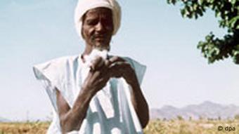 Baumwoll-Bauer im Sudan überprüft die Qualität der Ernte (Bild: AP)