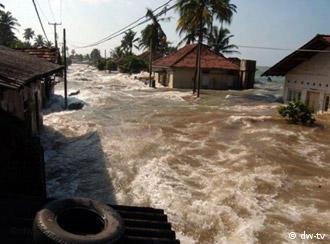 南亚海啸灾难死亡人数概览 德国之声来自德国介绍德国 Dw 05 01 05