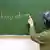 women with headscarf writing the word "integration" on classroom blackboard