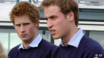 Die Prinzen William und Harry, Hilfe für die Flutopfer
