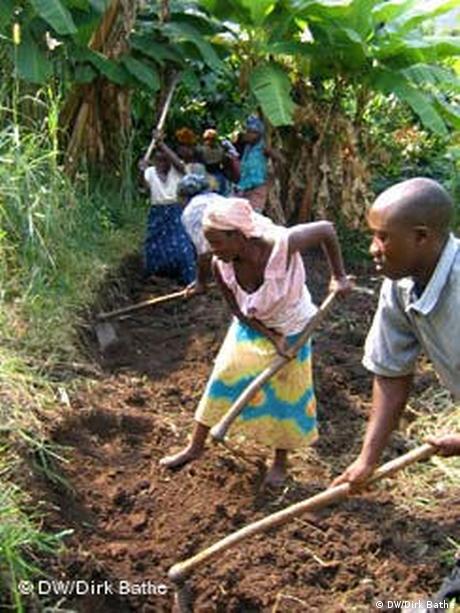 Les Problemes De L Agriculture En Afrique Afrique Dw 03 12 09