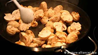 Deutschland Kochen Essen Pilze in der Pfanne
