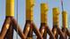 Beschreibung: Windpark Borkum - Tripod-Fundamente Quelle: DOTI GmbH Frei zur Verwendung für Pressezwecke. Beschreibung: Windpark Borkum - Tripod-Fundamente Quelle: DOTI GmbH Frei zur Verwendung für Pressezwecke.