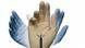 A gloved hand showing range of motion for the Da Vinci medical robot A gloved hand showing range of motion for the Da Vinci medical robot