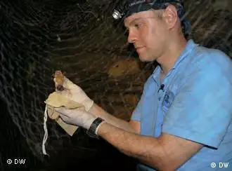 Wissenschaftler Stefan Drosten mit Fledermaus während eines Forschungsprojektes in Ghana; Mai 2011 Ghana; Copyright: DW/Aygül Cizmecioglu