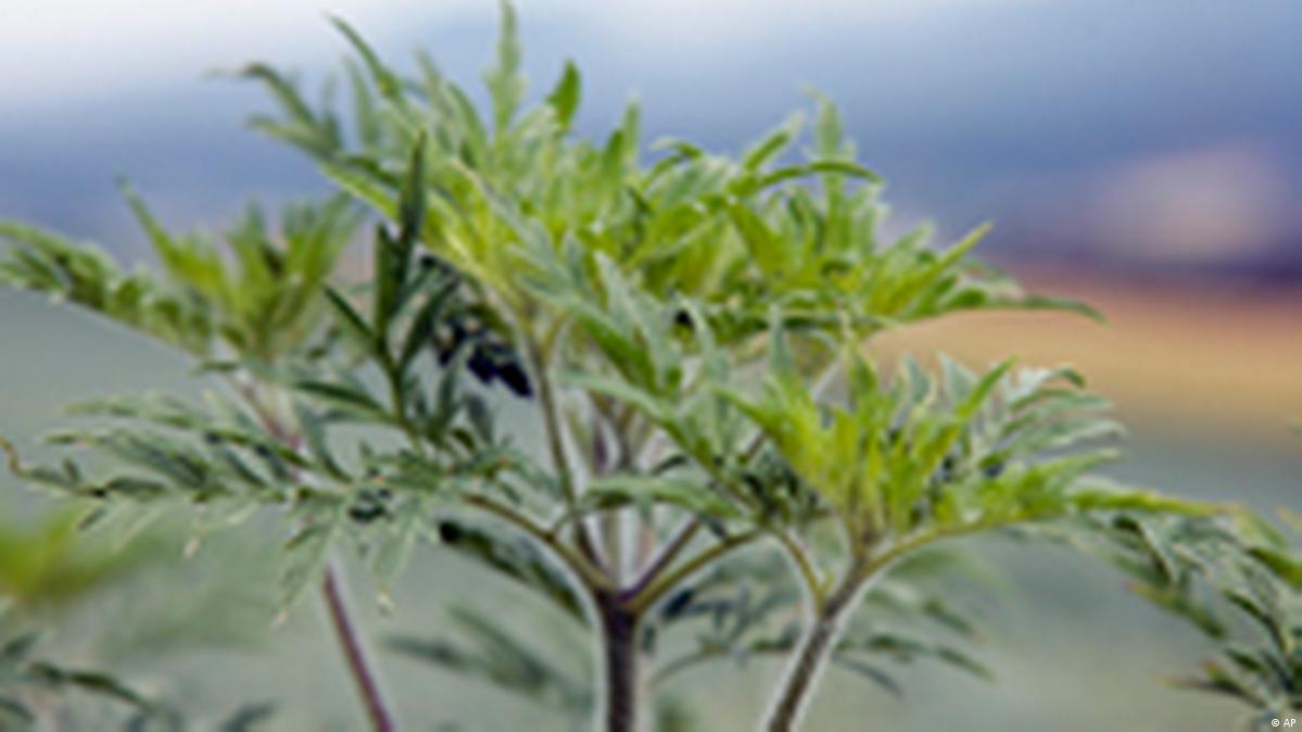 Ozbek porno aktrisalar