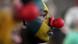 Mit Clownsnasen gegen die Korruption (Foto: AP) Mit Clownsnasen gegen die Korruption (Foto: AP)