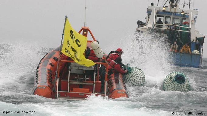 مبارزه فعالان محیط زیست صلح سبز با کشتی‌های صنعتی ماهیگیری به شیوه ترال