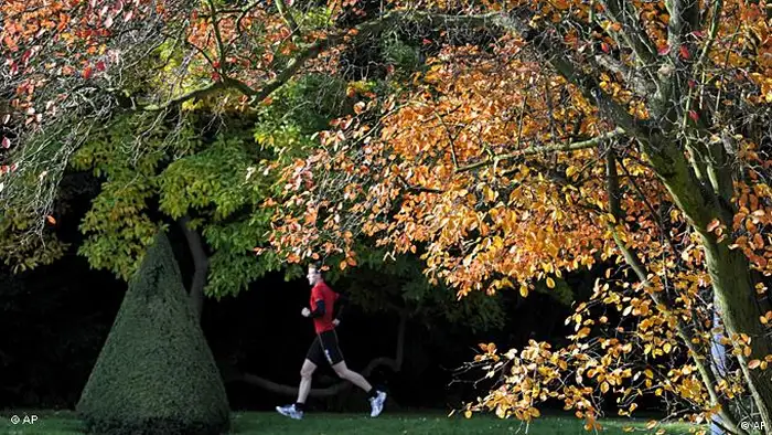 Jogger im Herbst (Foto: Matthias Rietschel/dapd)