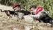 Kurdish fighters Kurdish fighters