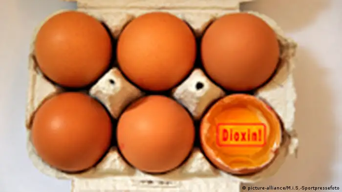 Symbolbild Hühnereier Lebensmittelskandal Dioxin