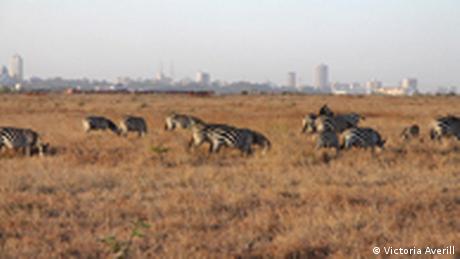 Kenia Nairobi National-Park