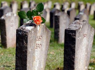 Una rosa adorna la tumba sin nombre de una víctima de la barbarie nazi.