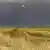 A sea gull flies over a North Sea island with wind turbines in the background Eine Möwe fliegt über die Küstenlandschaft der Insel Juist in der Nordsee, im Hintergrund stehen Windräder. Aufnahme vom Mai 2006. Foto: Paul Mayall