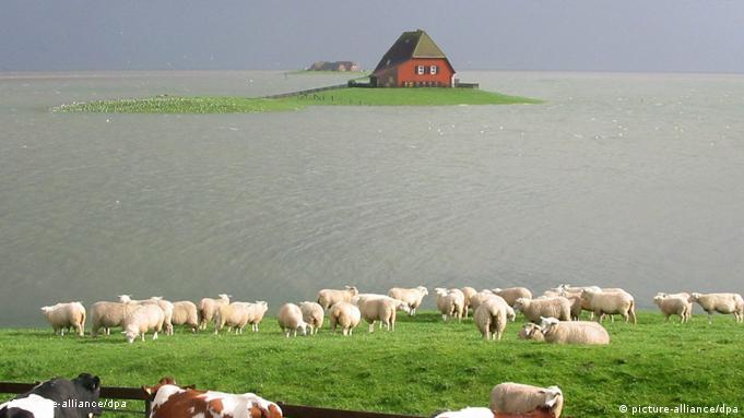 Hallig Langeneß
