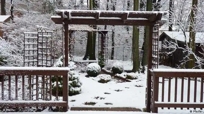 Der Blick aus meinem Fenster Kitchener Kanada