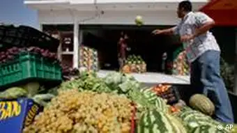Libyen Landwirtschaft Markt Verkauf