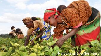 Burundi Landwirtschaft