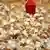 Zwei Wochen alte Putenküken auf einem Geflügelhof in Norddeutschland (Foto: Carmen Jaspersen dpa/lni)