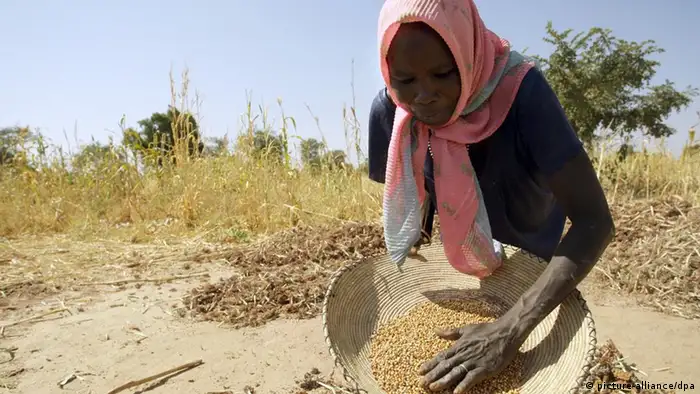 Des conditions de travail très difficiles pour cette femme soudanaise