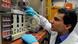 Sintetizan sustancia activa de medicamento contra la malaria. Sintetizan sustancia activa de medicamento contra la malaria.