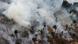 Luftaufnahme brennender Urwaldbäume (Foto: AP9 Luftaufnahme brennender Urwaldbäume (Foto: AP9