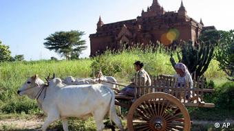 Bauern fahren auf einem Ochsenkarren an einem historischen Tempel in der Stadt Pagan vorbei (Foto: AP )