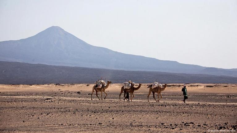 from-cows-to-camels-dw-02-05-2012