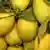 A box of lemons (photo: Fruit Logistica)