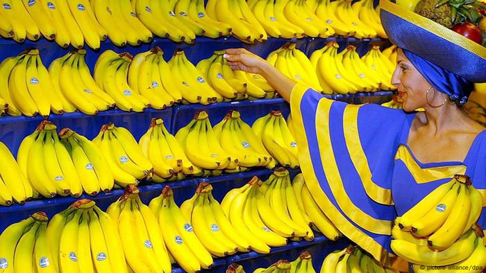 This Is The Largest Banana I Ve Ever Seen R Mildlyinteresting